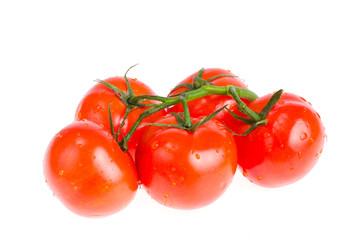 Branch of red ripe bio tomatoes isolated on white background.