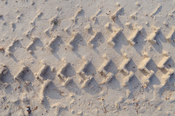 Tire marks on the road