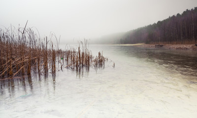 Forest lake covered with thick morning mist