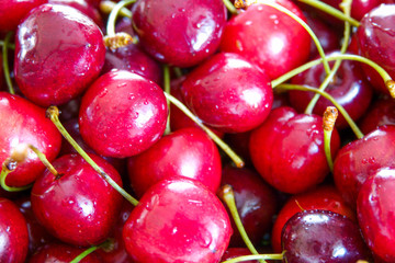 Close up of pile of ripe cherries with stalks and leaves. Large collection of fresh red cherries.