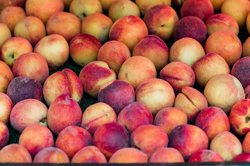 Box of Peaches on a Peach Fruit Stand at A Farrmer's Market Orchard in the Summer
