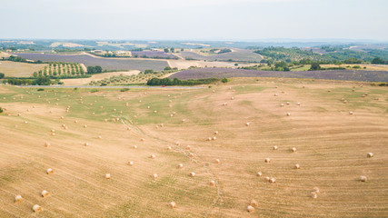 Obraz premium straw bale rols at countryside field