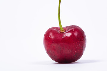 Closeup of a sweet cherry, Prunus avium. White background.