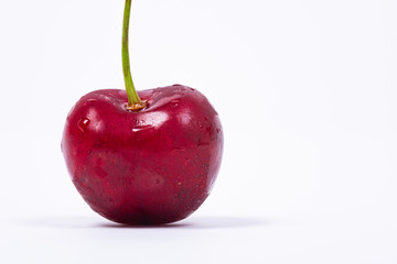 Closeup of a sweet cherry, Prunus avium. White background.