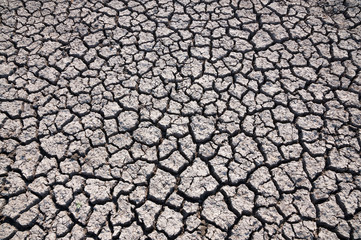 Dry soil and lack of water
