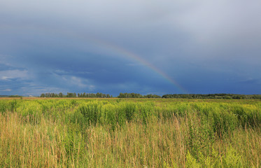 Rainbow in the blue sky over a green meadow