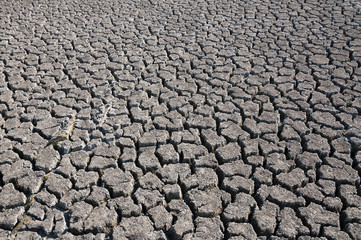 Dry soil and lack of water