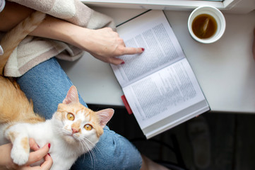 young girl covered with a blanket sits at the window with her cat, reads a book and drinks tea, she...