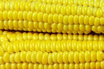 corn grains background kachan close-up
