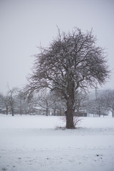 panorama snowy winter landscape in germany