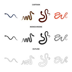 Vector design of mammal and danger logo. Collection of mammal and medicine stock vector illustration.