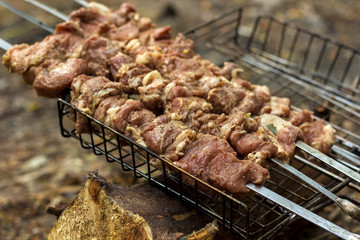 raw skewers before cooking, in the forest on a picnic 