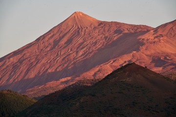 Naklejka premium Red Tejde