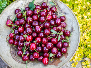 A bunch of berries ripe red cherries close-up