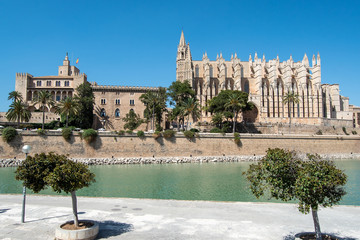 Naklejka premium Majorca 2019: Cathedral La Seu of Palma de Mallorca on a sunny summer day with blue sky and trees in the foreground