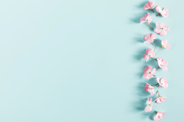 Fototapeta premium Beautiful flowers composition. Frame made of light pink flowers on pastel blue background. Valentines Day, Easter, Birthday, Happy Women's Day, Mother's day. Flat lay, top view, copy space