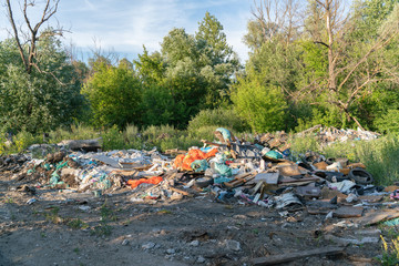 Unauthorized dumping of garbage in the forest. Ecological catastrophy