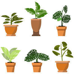 Potted plants isolated on white. Vector set of six green tropical plants in pot illustration