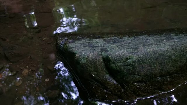 Small loop of the stream of clear and crystalline water: on the bottom we can make out the silhouettes of the little tritons. 30Fps