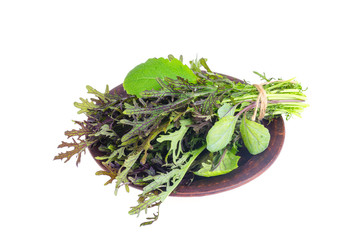 Bunch of fresh green salad leaves.