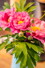 Bouquet of pink peonies