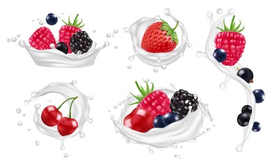 Berries milk splashes vector set. Strawberry, raspberry, blueberry fruits and yogurt splashes isolated vector illustrations on white