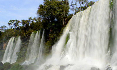 Naklejka premium waterfall in Iguazu( iguaçu) Falls. Brazil