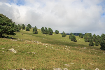 Panorama view of forest and mountains scenes in national park Dombay