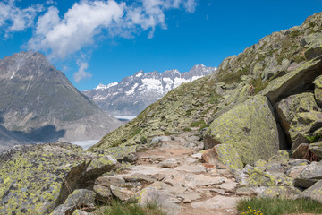 Fototapeta na wymiar Panorama of mountains scene, walk through the great Aletsch Glacier