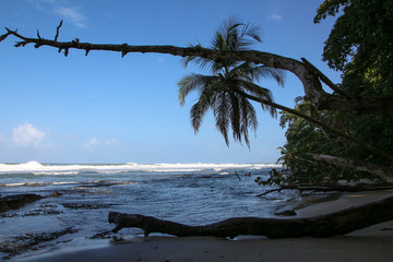 Pura Vida - This is beautiful Costa Rica