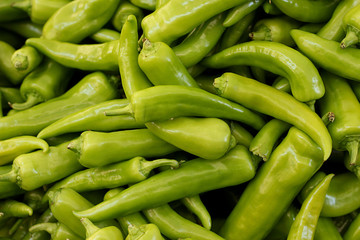 Fresh green peppers season on the market