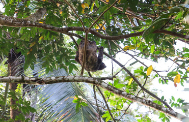 Pura Vida - This is beautiful Costa Rica