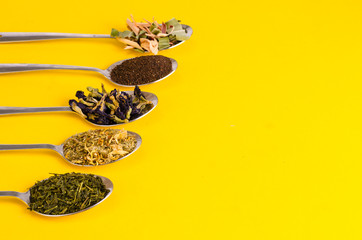 Leaves of different varieties of tea in spoons