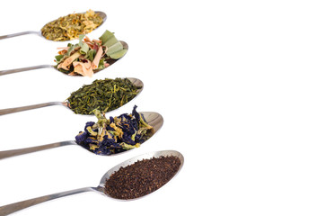 Leaves of different varieties of tea in spoons