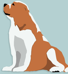 Cavalier King