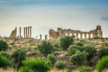 Ruins of the roman city of Volubilis, UNESCO world heritage site near Fes and Meknes, Morocco