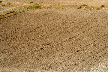 Grand champ de terre labourée.