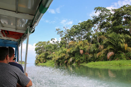 Landscape of the tropical rainforest in Tortuguero, Costa Rica