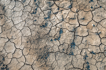 Dehydrated clay soil as seen from above