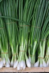 Zwiebeln liegen nebeneinander in einer Kiste