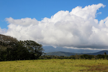 Pura Vida - This is beautiful Costa Rica