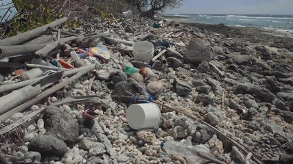 Marine Debris Plastic on the Beach 