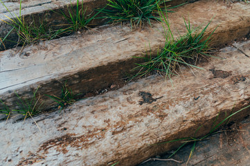 Old wooden stairs path in garden or forest. Path with stairs in a tropical forest or garden road. Timbered or hardwood Uphill path