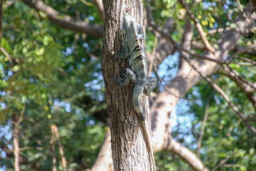 Pura Vida - This is beautiful Costa Rica