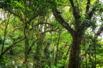 Pura Vida - This is beautiful Costa Rica
