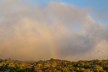 Pura Vida - This is beautiful Costa Rica