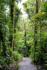 Fototapeta premium Pura Vida - This is beautiful Costa Rica