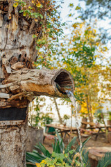 Natural wooden tree fountain. Mountain spring water flowing out of wooden gutter from rocky creek. Water Fountain Carved from Wood or tree in natural national park or garden. 