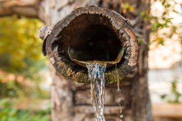 Naklejka na ściany i meble Natural wooden tree fountain. Mountain spring water flowing out of wooden gutter from rocky creek. Water Fountain Carved from Wood or tree in natural national park or garden. 