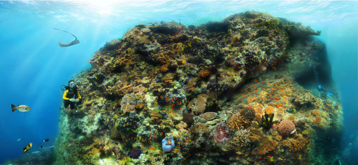 Naklejka na ściany i meble Composite panoramic image of a coral reef (thila) in Maldives